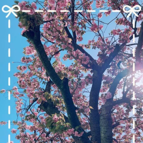 クーポンBB