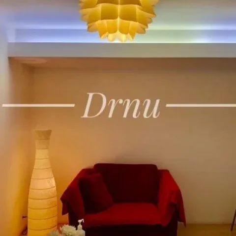 ドクターヌ